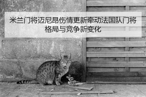 米兰门将迈尼昂伤情更新牵动法国队门将格局与竞争新变化