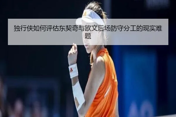 独行侠如何评估东契奇与欧文后场防守分工的现实难题