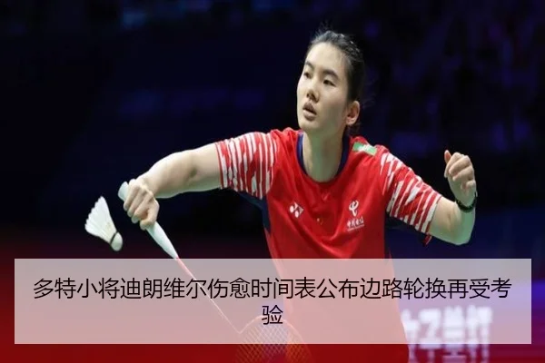 多特小将迪朗维尔伤愈时间表公布边路轮换再受考验